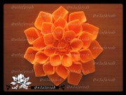رودری نیلوفر آبی